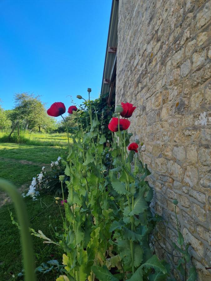 Bed and Breakfast Domaine De La Cour Vautier Mandeville-en-Bessin Экстерьер фото